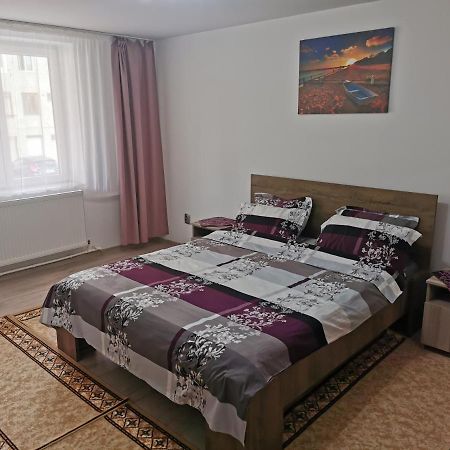 דירות קאמפולונג מולדובנסק Apartament Bucovina מראה חיצוני תמונה